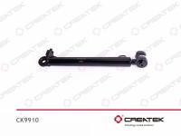 CK9910__1.jpg