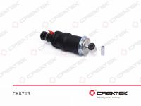 CK8713__1.jpg